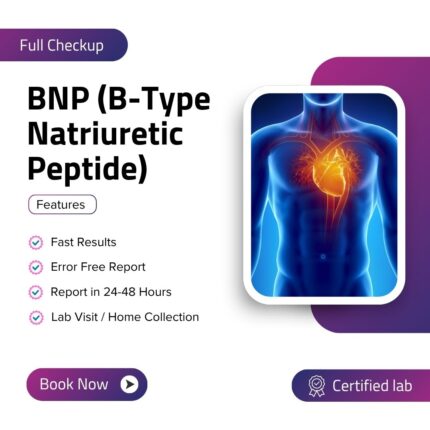 BNP (B-Type Natriuretic Peptide)