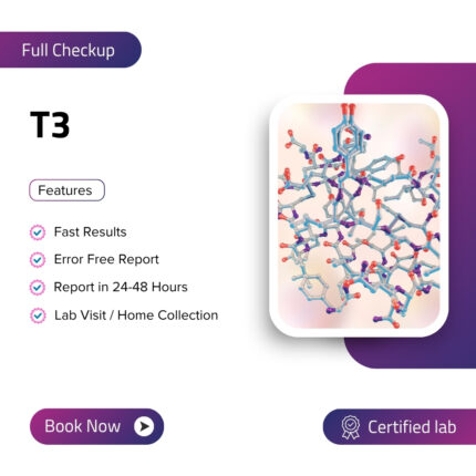 T3