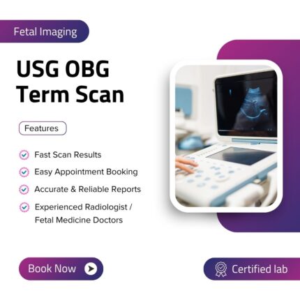 USG OBG Term Scan
